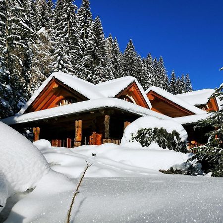 Chalet Caprea Bad Kleinkirchheim Dış mekan fotoğraf