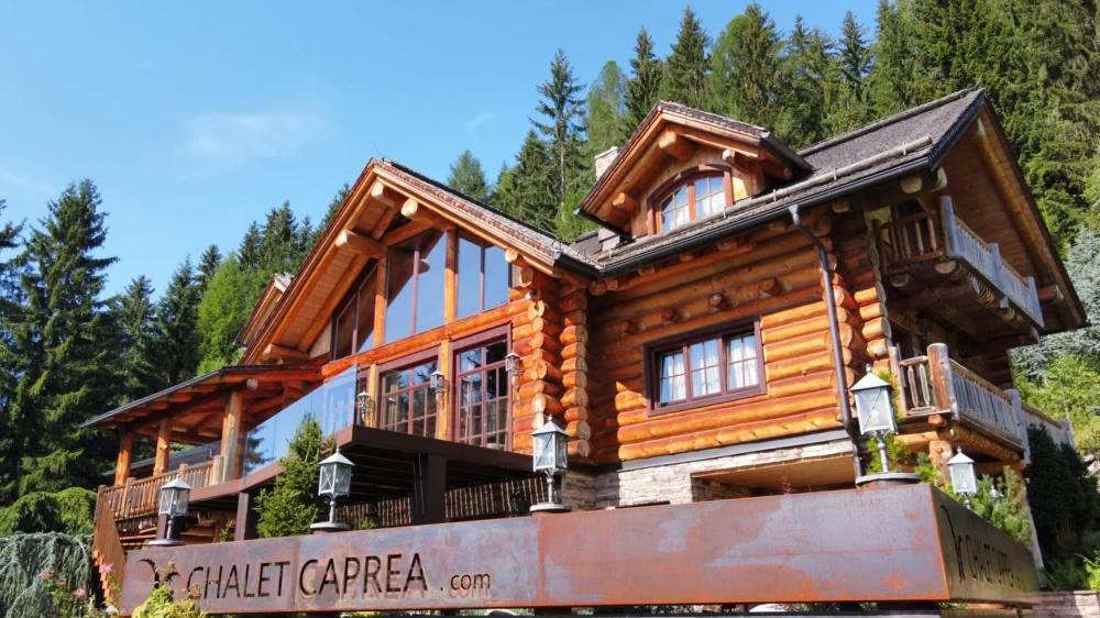Chalet Caprea Bad Kleinkirchheim Dış mekan fotoğraf