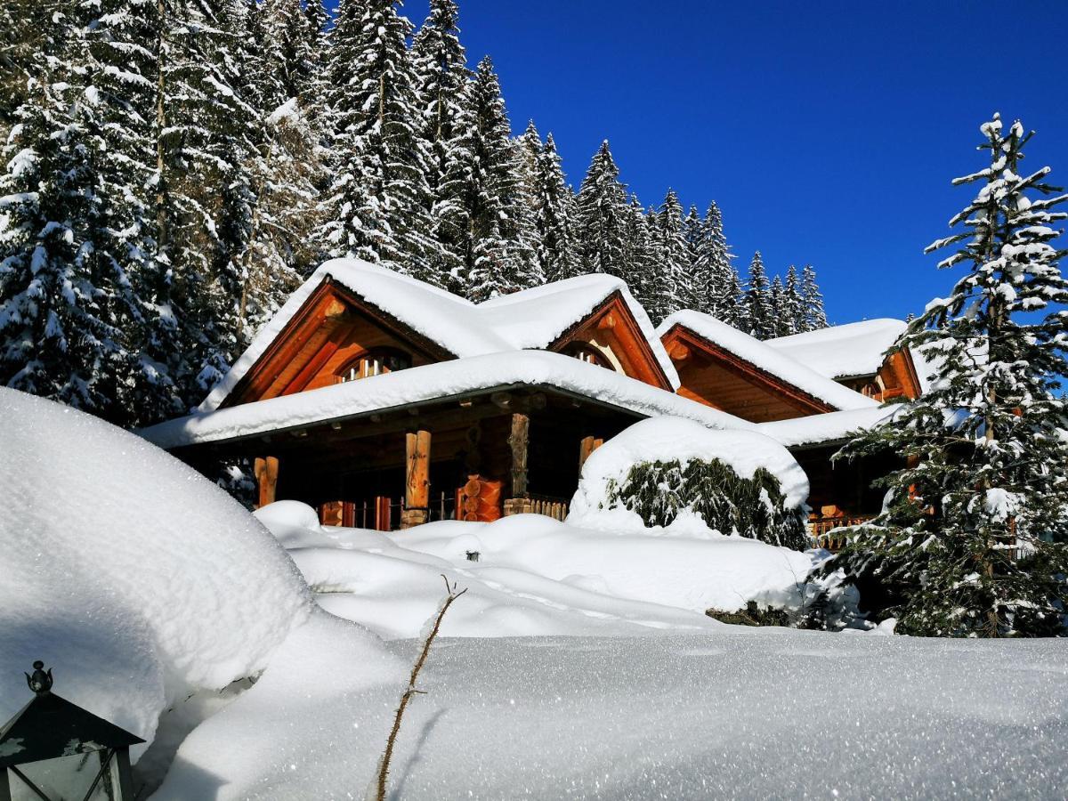 Chalet Caprea Bad Kleinkirchheim Dış mekan fotoğraf