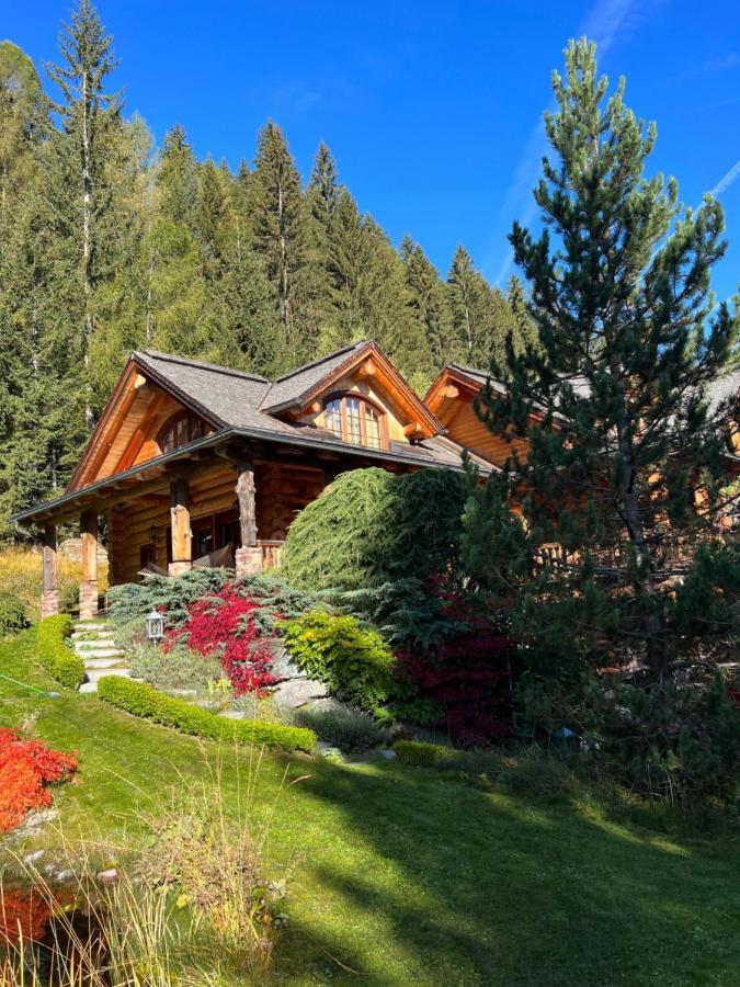 Chalet Caprea Bad Kleinkirchheim Dış mekan fotoğraf