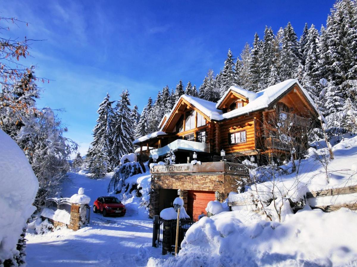 Chalet Caprea Bad Kleinkirchheim Dış mekan fotoğraf