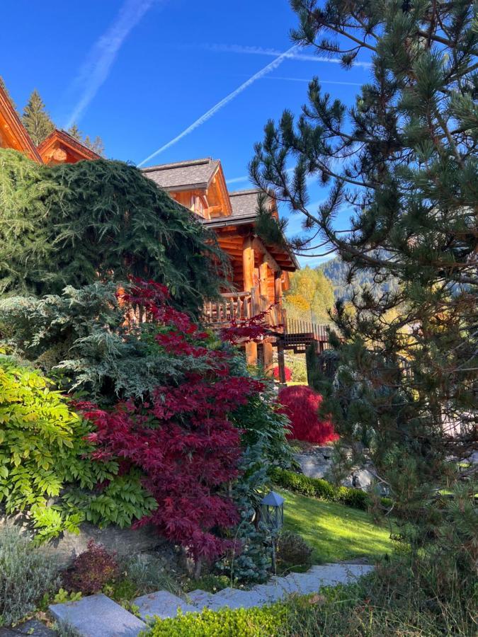 Chalet Caprea Bad Kleinkirchheim Dış mekan fotoğraf