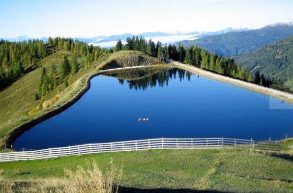 Chalet Caprea Bad Kleinkirchheim Dış mekan fotoğraf